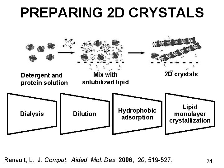PREPARING 2 D CRYSTALS Detergent and protein solution Dialysis Mix with solubilized lipid Dilution
