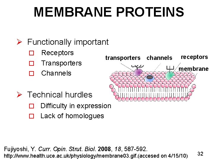 MEMBRANE PROTEINS Ø Functionally important Receptors � Transporters � Channels � transporters channels receptors