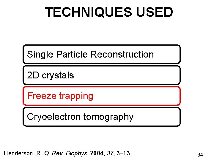 TECHNIQUES USED Single Particle Reconstruction 2 D crystals Freeze trapping Cryoelectron tomography Henderson, R.
