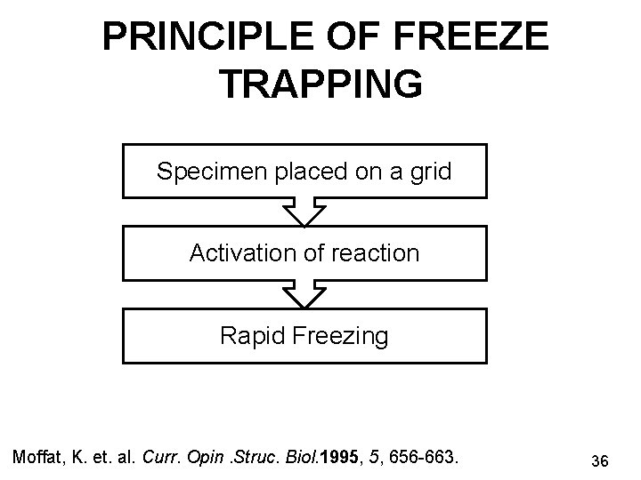 PRINCIPLE OF FREEZE TRAPPING Specimen placed on a grid Activation of reaction Rapid Freezing