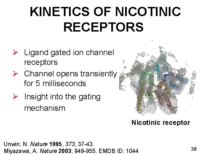 KINETICS OF NICOTINIC RECEPTORS Ø Ligand gated ion channel receptors Ø Channel opens transiently