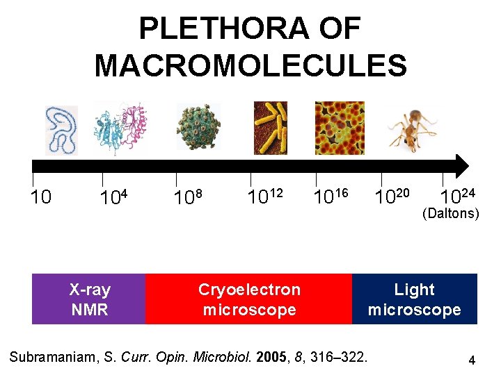 PLETHORA OF MACROMOLECULES 10 104 X-ray NMR 108 1012 Cryoelectron microscope 1016 1020 1024