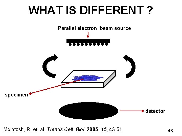 WHAT IS DIFFERENT ? Parallel electron beam source specimen detector Mc. Intosh, R. et.
