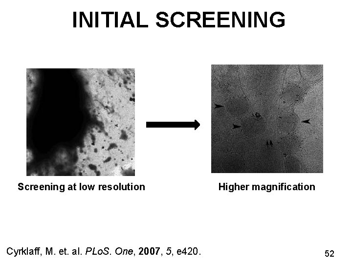 INITIAL SCREENING Screening at low resolution Cyrklaff, M. et. al. PLo. S. One, 2007,