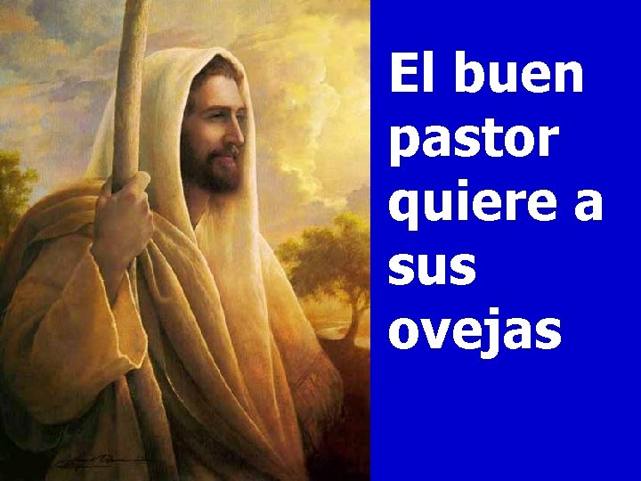 El buen pastor quiere a sus ovejas 