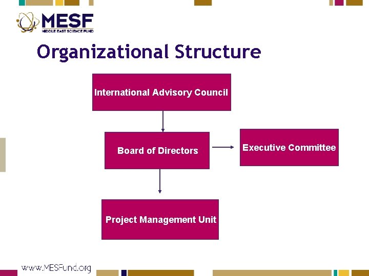 Organizational Structure International Advisory Council Board of Directors Project Management Unit Executive Committee 