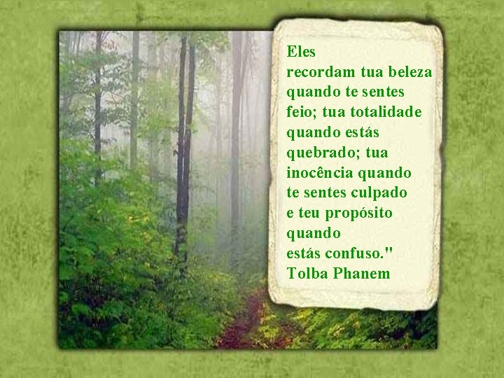 Eles recordam tua beleza quando te sentes feio; tua totalidade quando estás quebrado; tua