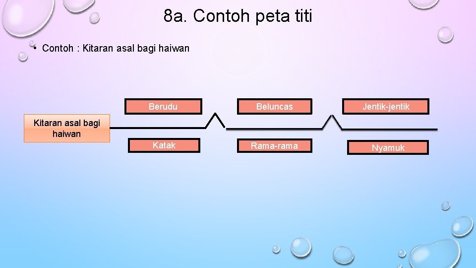 8 a. Contoh peta titi • Contoh : Kitaran asal bagi haiwan Berudu Beluncas