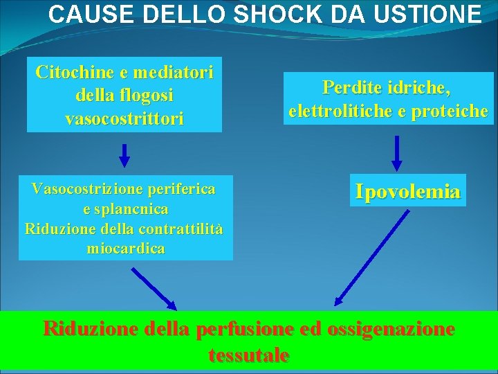 CAUSE DELLO SHOCK DA USTIONE Citochine e mediatori della flogosi vasocostrittori Vasocostrizione periferica e