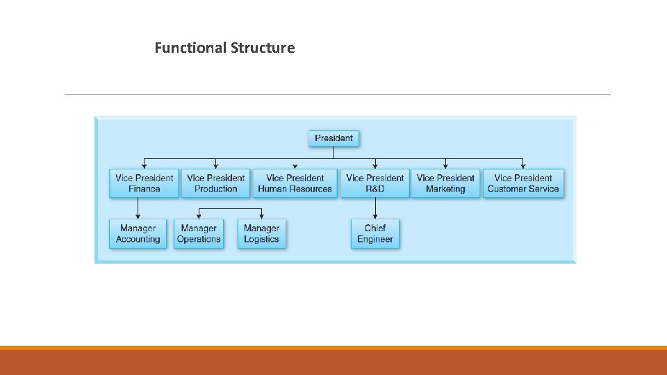 Functional Structure Functional Structure