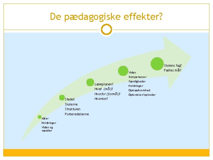 De pædagogiske effekter? Stedet Skolerne Strukturen Forberedelserne Idéer Holdninger Viden og værdier Læreplanen? Hvad