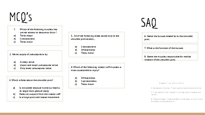 MCQ’s 1. a) b) c) Which of the following muscles has similar actions to