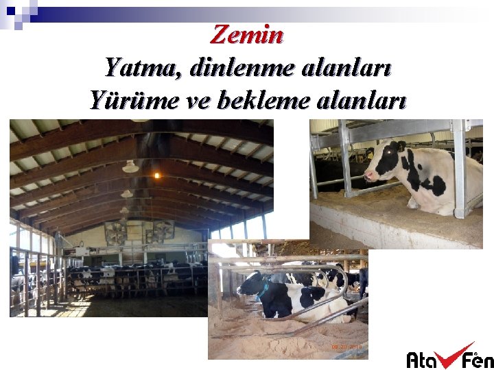 Zemin Yatma, dinlenme alanları Yürüme ve bekleme alanları 