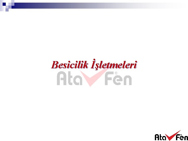 Besicilik İşletmeleri 