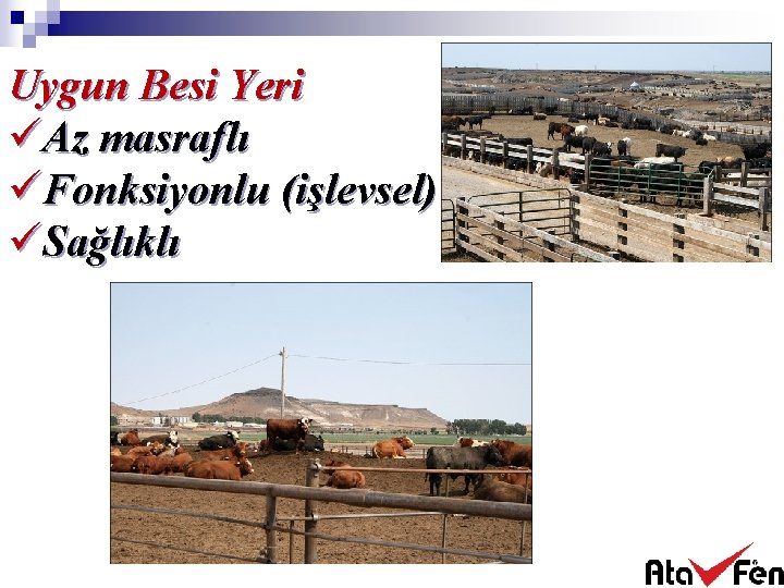 Uygun Besi Yeri üAz masraflı üFonksiyonlu (işlevsel) üSağlıklı 