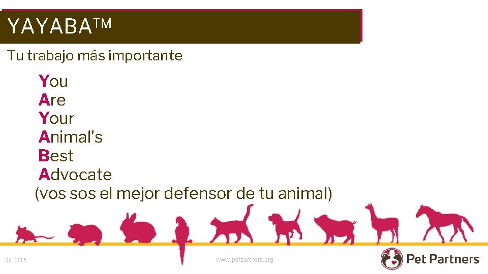 YAYABA™ Tu trabajo más importante You Are Your Animal’s Best Advocate (vos sos el