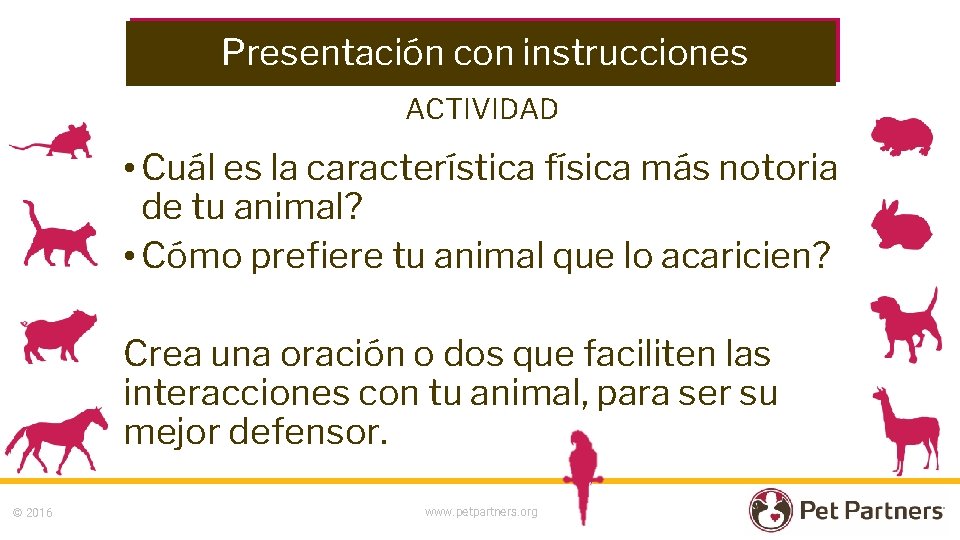 Presentación con instrucciones ACTIVIDAD • Cuál es la característica física más notoria de tu