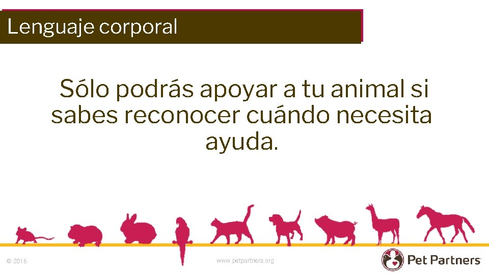 Lenguaje corporal Sólo podrás apoyar a tu animal si sabes reconocer cuándo necesita ayuda.