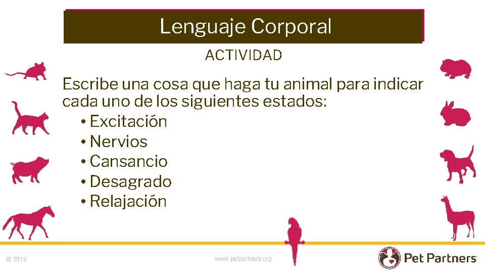 Lenguaje Corporal ACTIVIDAD Escribe una cosa que haga tu animal para indicar cada uno