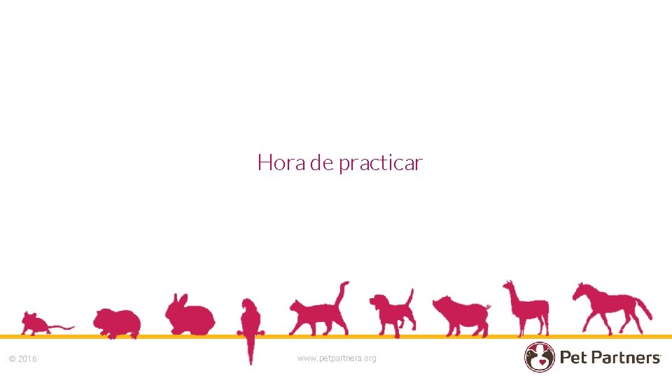 Hora de practicar © 2016 www. petpartners. org 