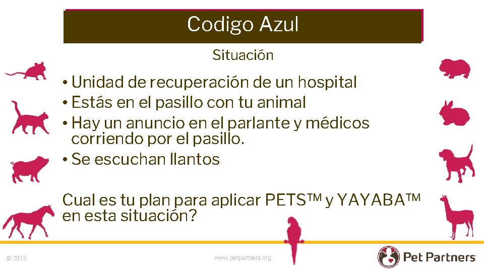 Codigo Azul Situación • Unidad de recuperación de un hospital • Estás en el