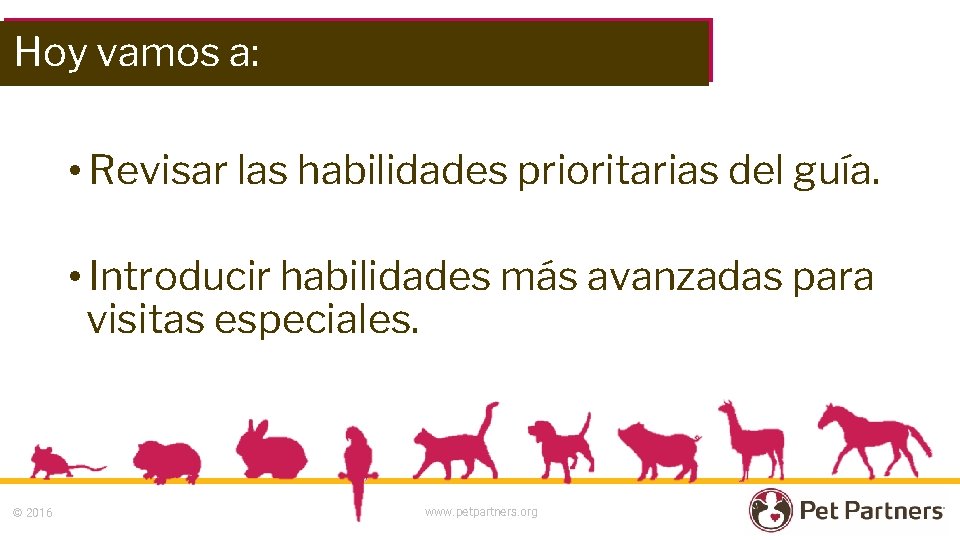 Hoy vamos a: • Revisar las habilidades prioritarias del guía. • Introducir habilidades más