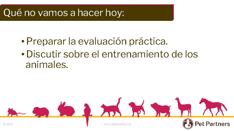 Qué no vamos a hacer hoy: • Preparar la evaluación práctica. • Discutir sobre