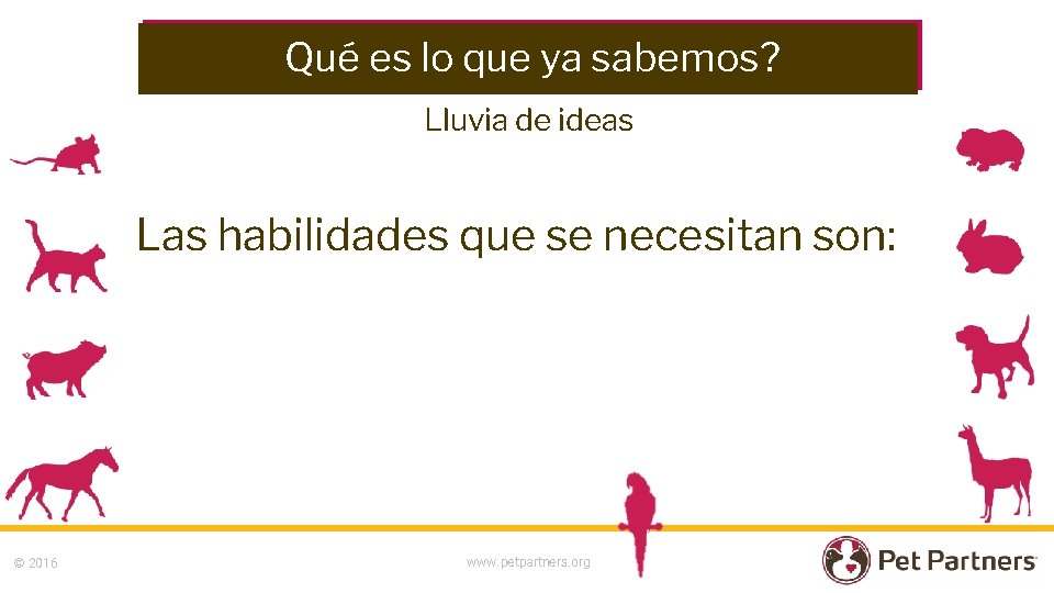 Qué es lo que ya sabemos? Lluvia de ideas Las habilidades que se necesitan