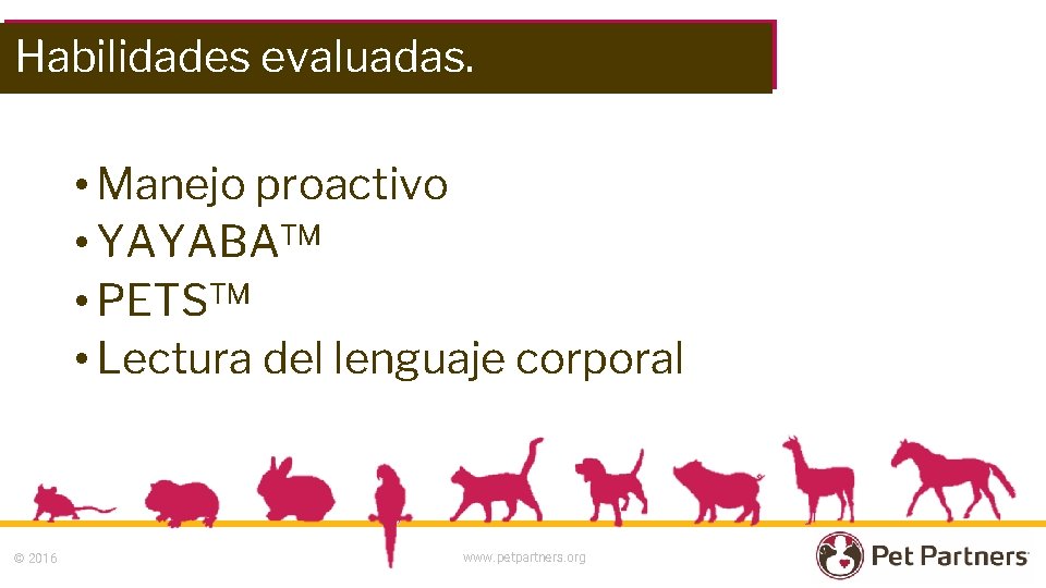 Habilidades evaluadas. • Manejo proactivo • YAYABA™ • PETS™ • Lectura del lenguaje corporal