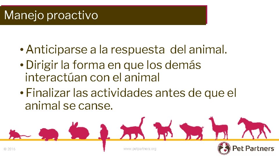 Manejo proactivo • Anticiparse a la respuesta del animal. • Dirigir la forma en