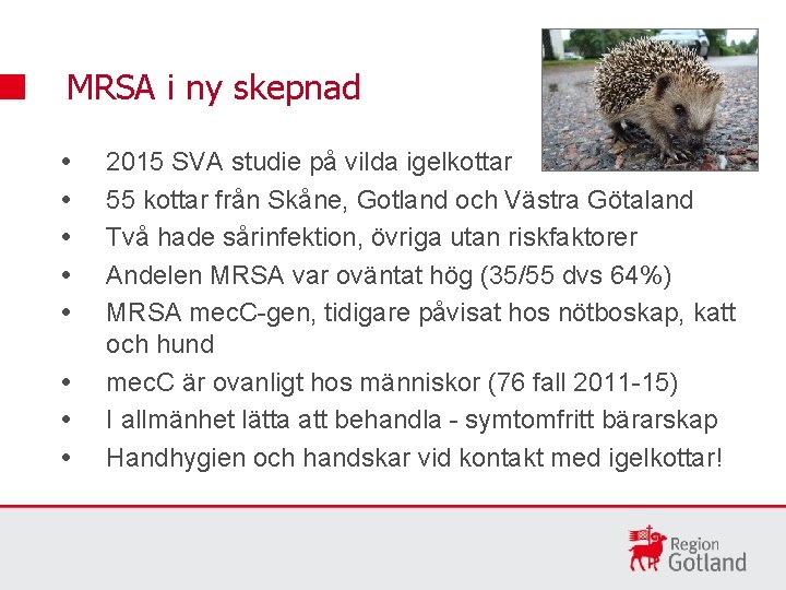 MRSA i ny skepnad 2015 SVA studie på vilda igelkottar 55 kottar från Skåne,