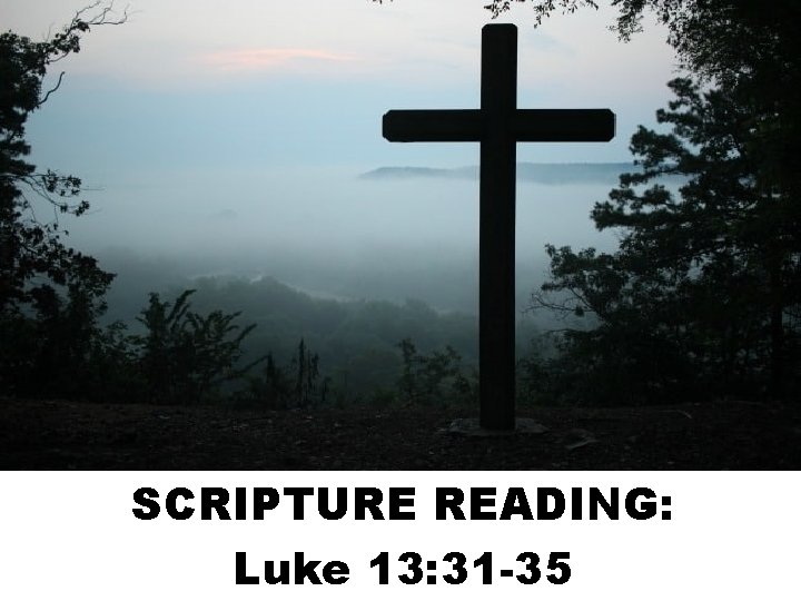 SCRIPTURE READING: Luke 13: 31 -35 