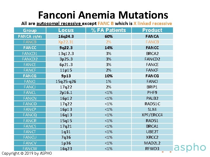 Fanconi Anemia Mutations All are autosomal recessive except FANC B which is X linked