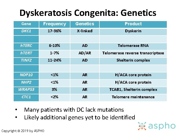 Dyskeratosis Congenita: Genetics • • Gene Frequency Genetics Product DKC 1 17 -36% X-linked