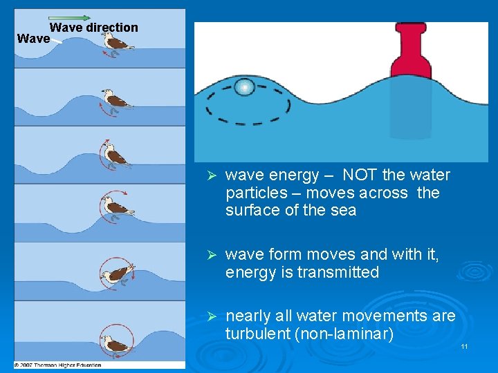 Wave direction Wave Ø wave energy – NOT the water particles – moves across