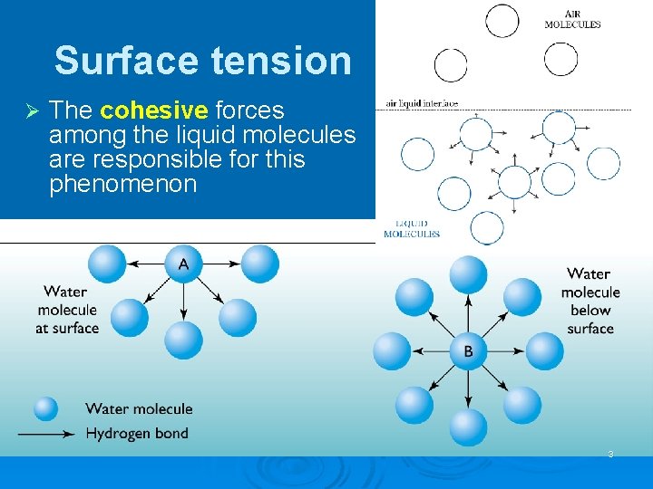 Surface tension Ø The cohesive forces among the liquid molecules are responsible for this