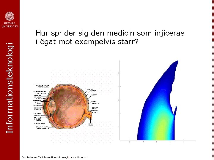 Informationsteknologi Hur sprider sig den medicin som injiceras i ögat mot exempelvis starr? Institutionen