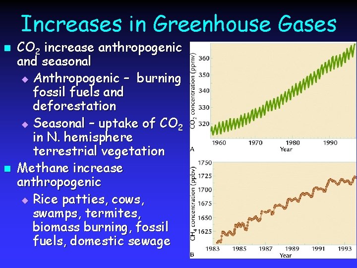 Increases in Greenhouse Gases n n CO 2 increase anthropogenic and seasonal u Anthropogenic