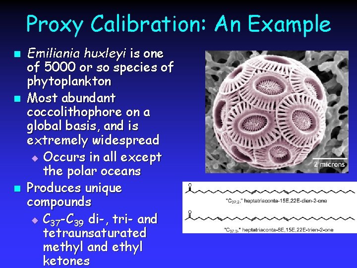 Proxy Calibration: An Example n n n Emiliania huxleyi is one of 5000 or