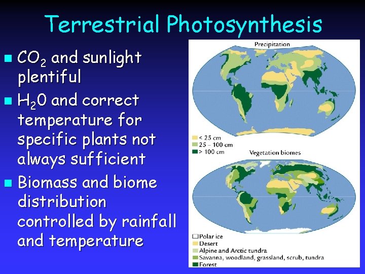 Terrestrial Photosynthesis CO 2 and sunlight plentiful n H 20 and correct temperature for