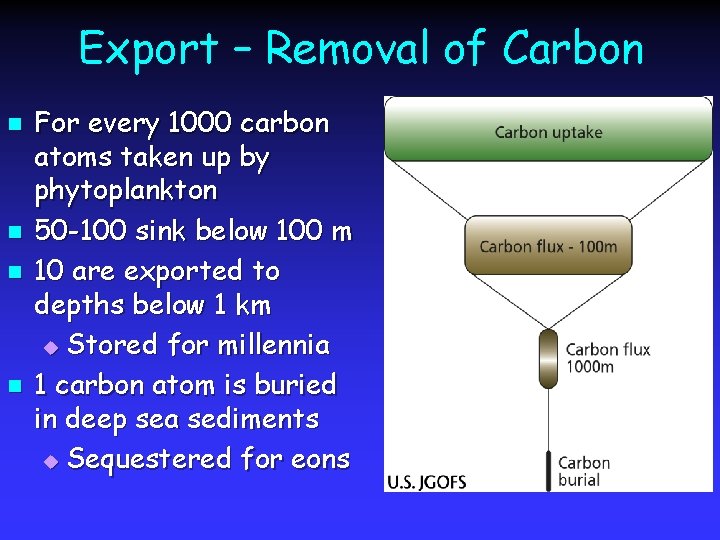 Export – Removal of Carbon n n For every 1000 carbon atoms taken up