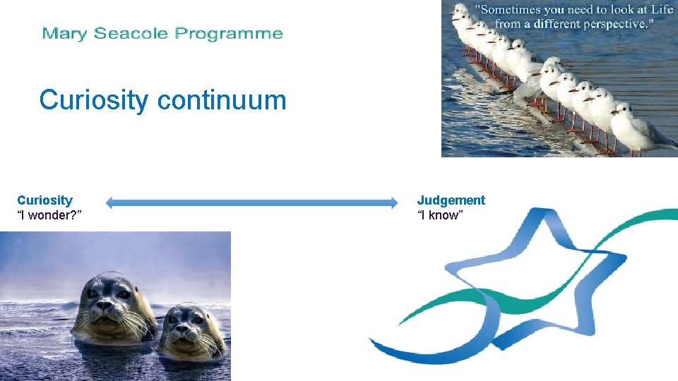 Curiosity continuum Curiosity “I wonder? ” Judgement “I know” 