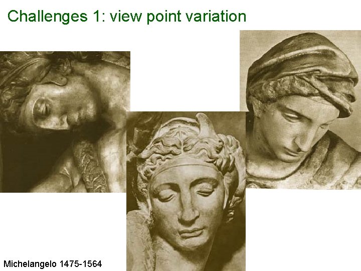 Challenges 1: view point variation Michelangelo 1475 -1564 