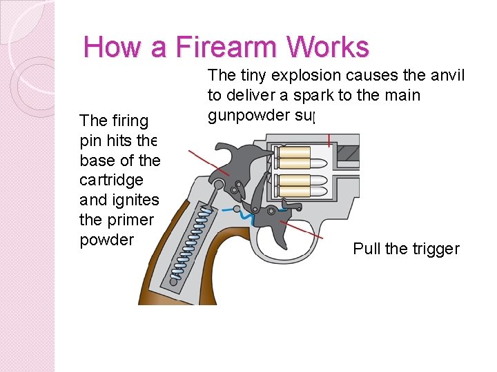 How a Firearm Works The firing pin hits the base of the cartridge and