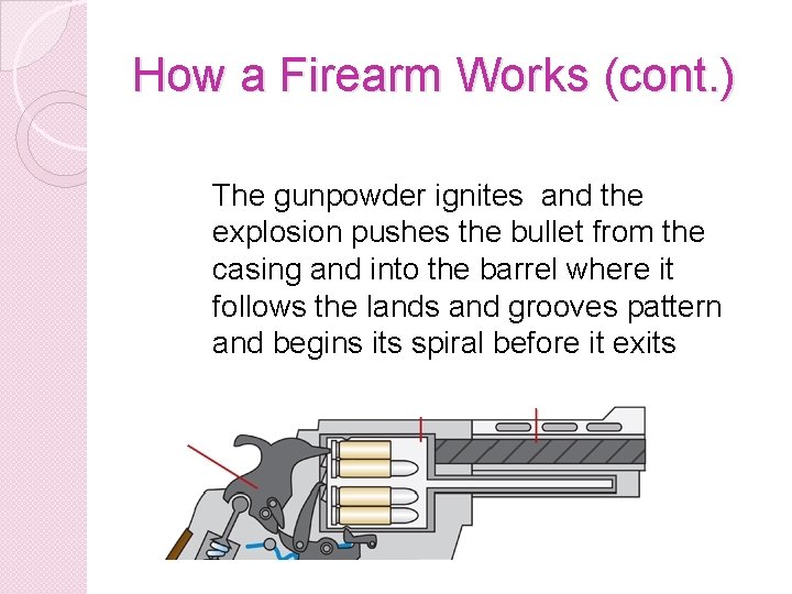 How a Firearm Works (cont. ) The gunpowder ignites and the explosion pushes the