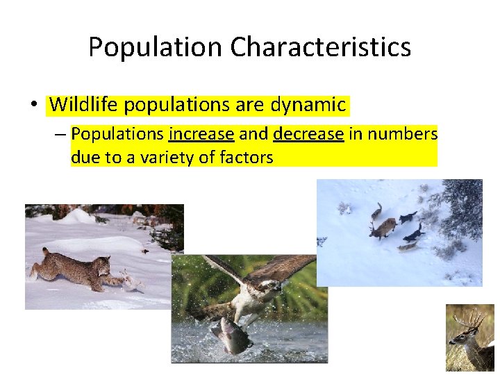 Population Characteristics • Wildlife populations are dynamic – Populations increase and decrease in numbers