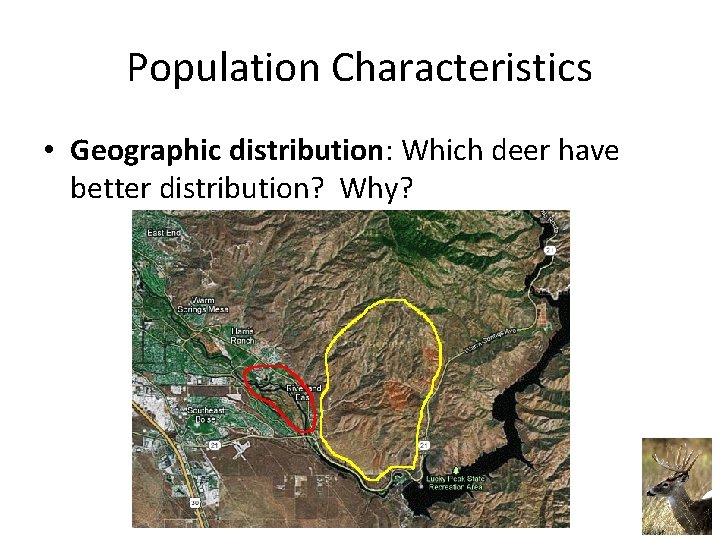 Population Characteristics • Geographic distribution: Which deer have better distribution? Why? 