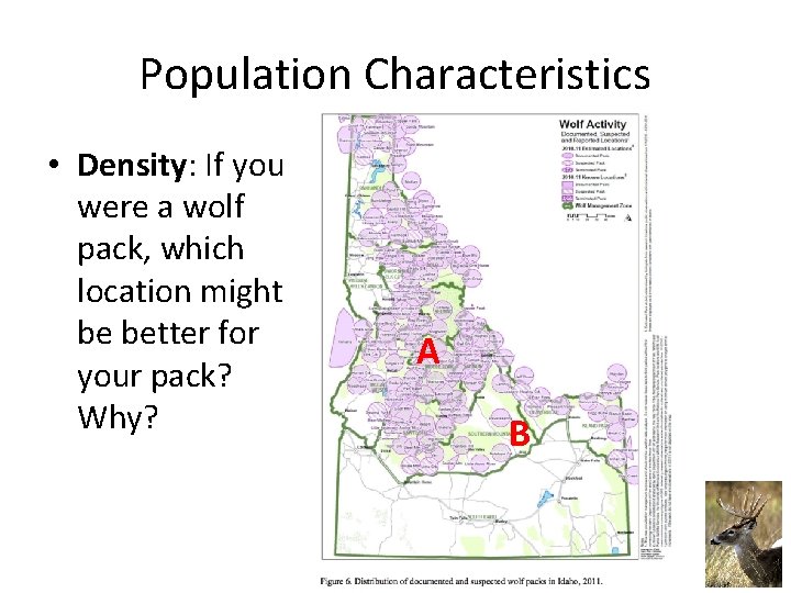 Population Characteristics • Density: If you were a wolf pack, which location might be