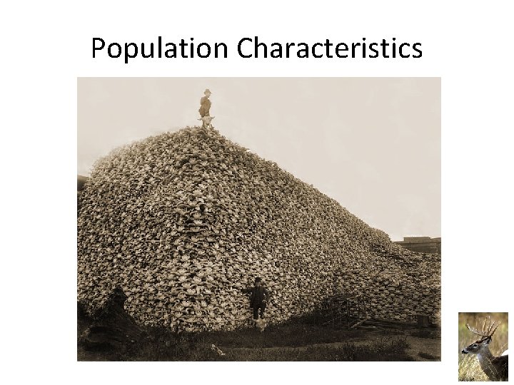 Population Characteristics 