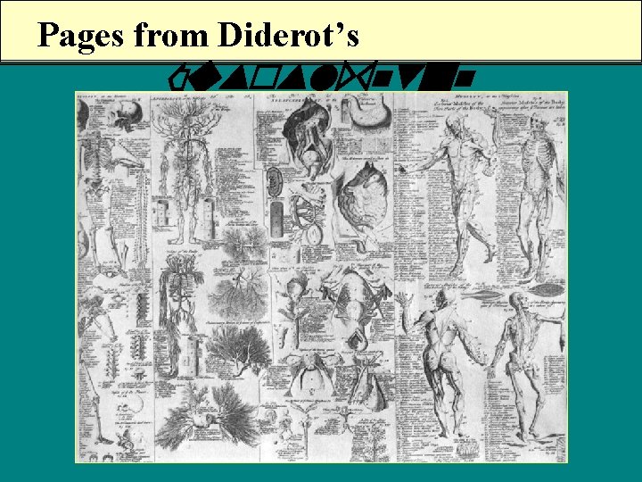 Pages from Diderot’s Encyclopedie 